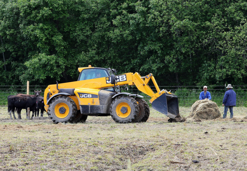 В Петербурге агротехнический сезон продлили почти до середины ноября